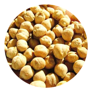 Checkpeas Bio