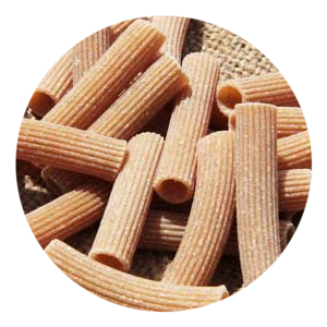 Rigatoni Bio