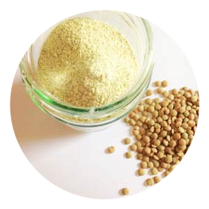 Lentil Flour