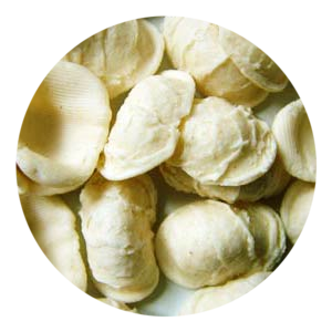 Orecchiette Artigianali