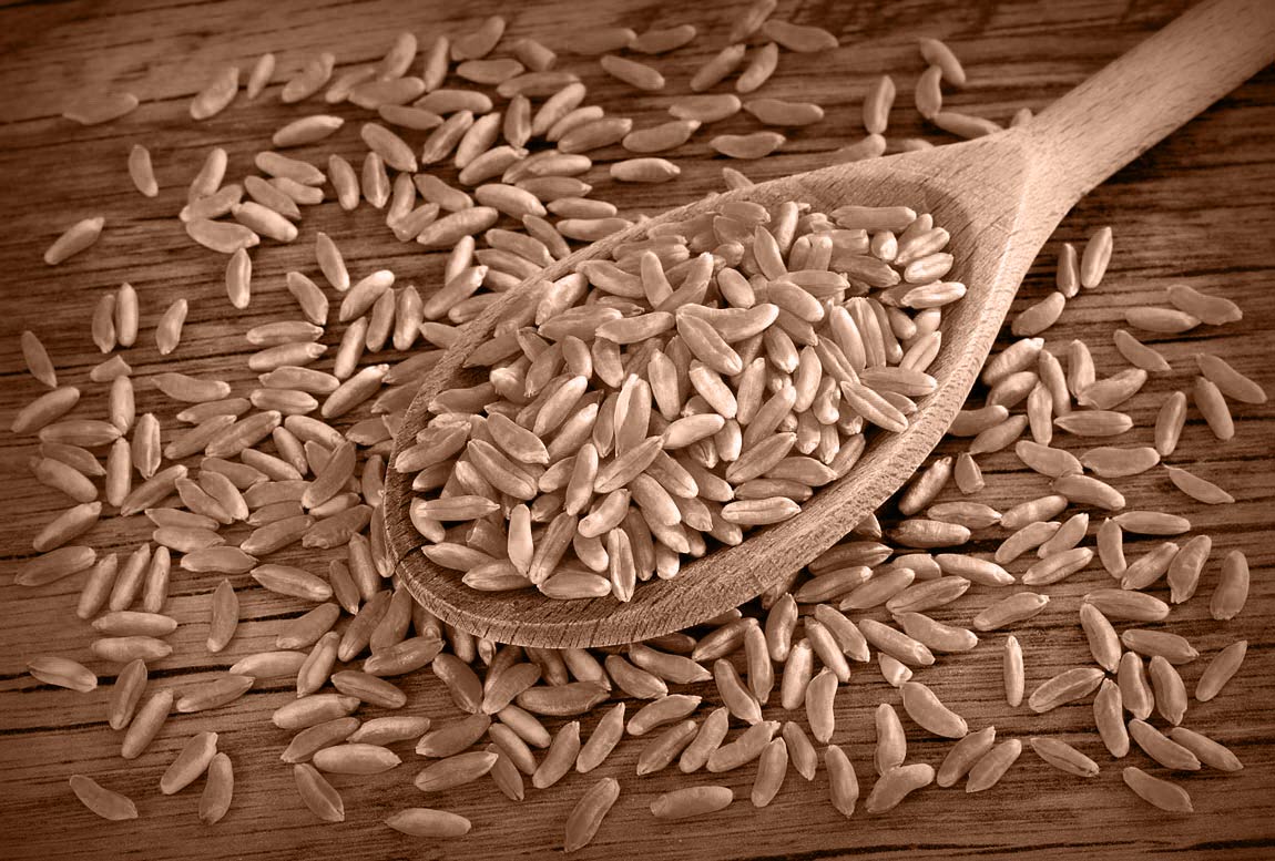 Khorasan Saragolla Lucana Cereali Bio