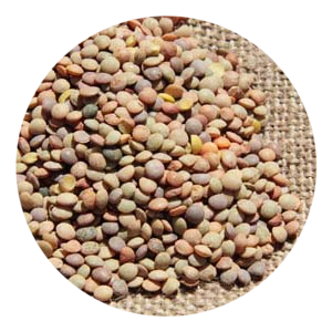 Lenticchie Bio